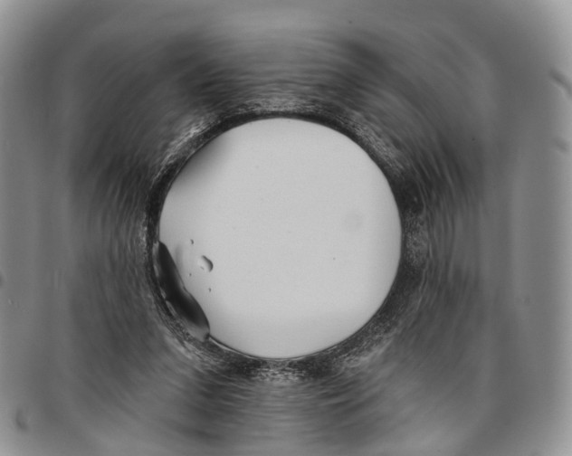 X0000096710207200803041348