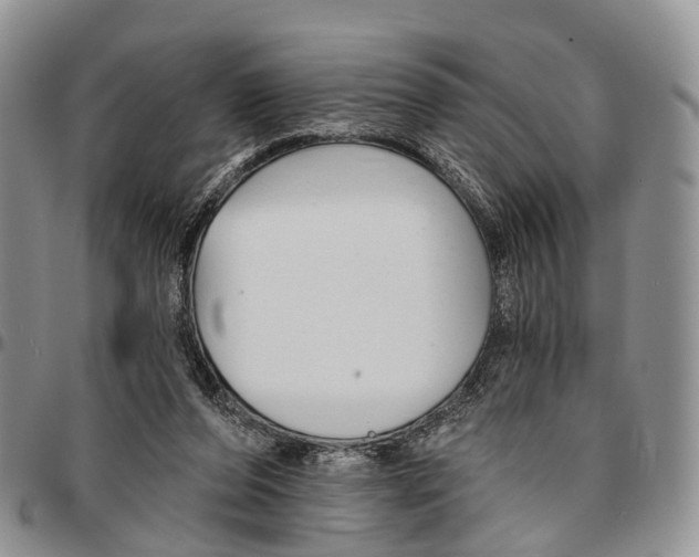 X0000096710208200803041348