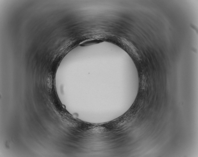 X0000096710210200803041348