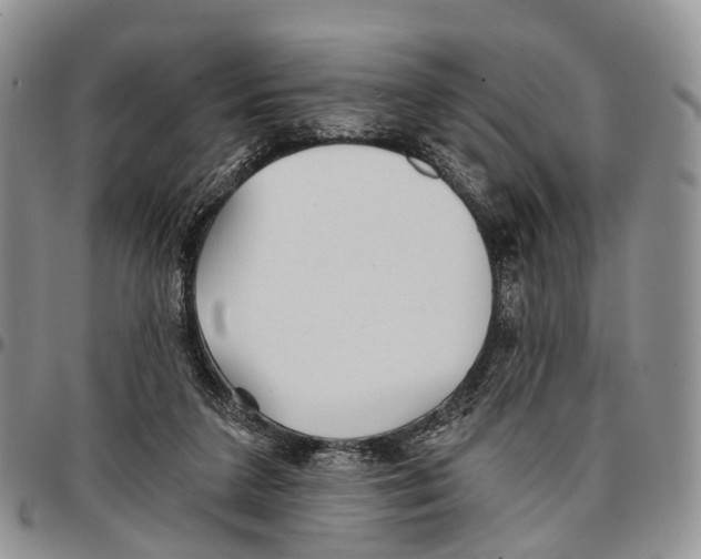 X0000096710211200803041348