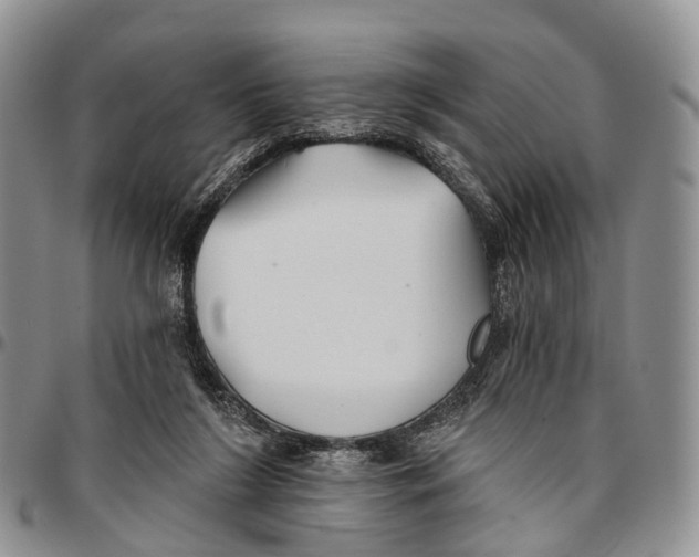 X0000096710212200803041348