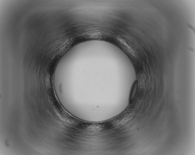 X0000096710213200803041348