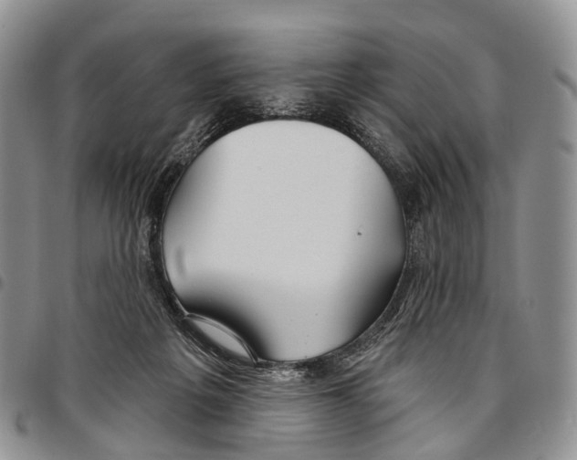 X0000096710217200803041348