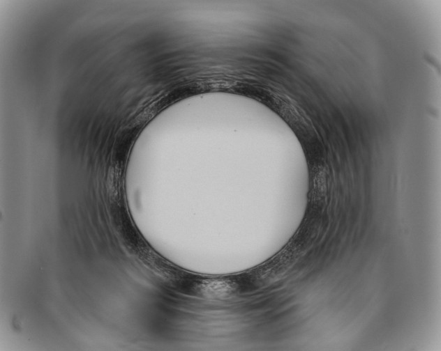 X0000096710218200803041348