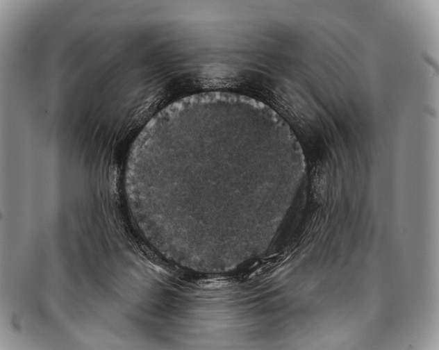 X0000096710219200803041348