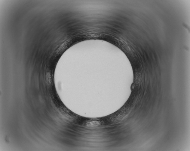 X0000096710220200803041348