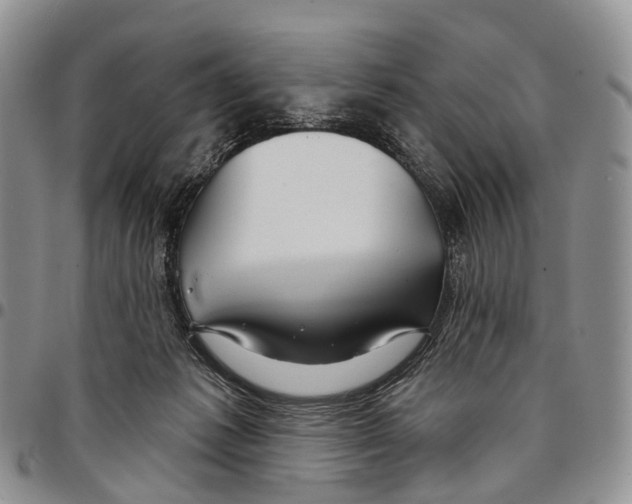 X0000096710221200803041348