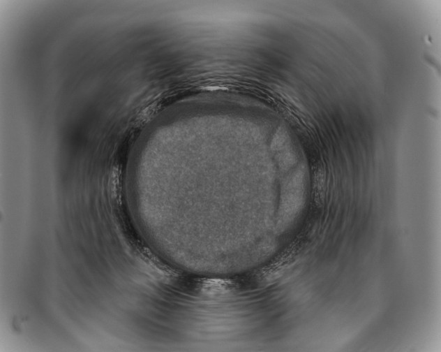 X0000096710222200803041348