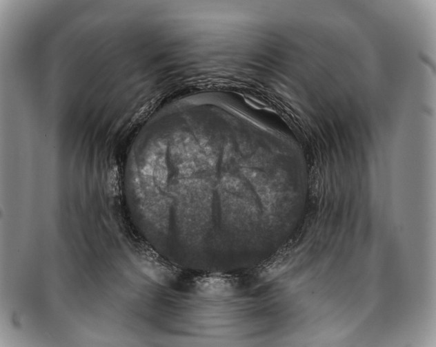 X0000096710224200803041348