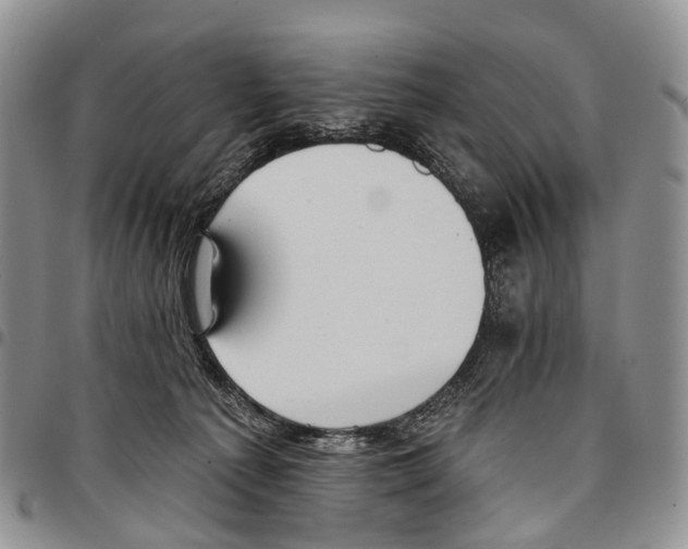 X0000096710225200803041348