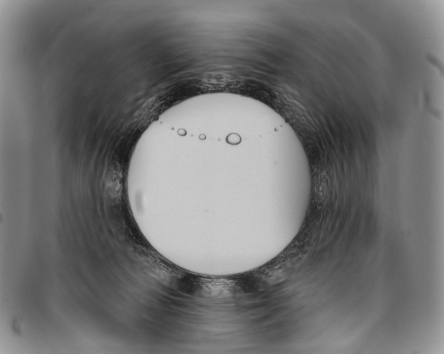 X0000096710226200803041348