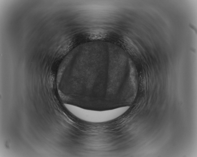 X0000096710227200803041348