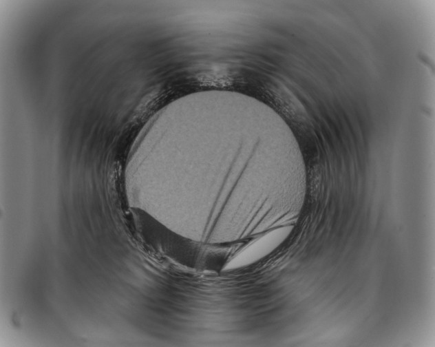 X0000096710229200803041348