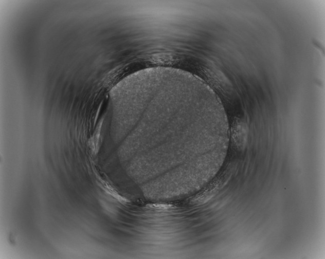 X0000096710233200803041347