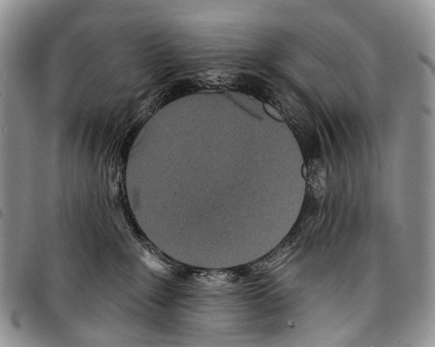 X0000096710235200803041347