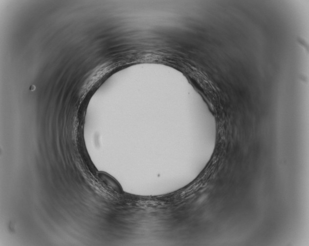 X0000096710242200803041347