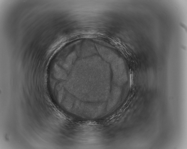 X0000096710243200803041347