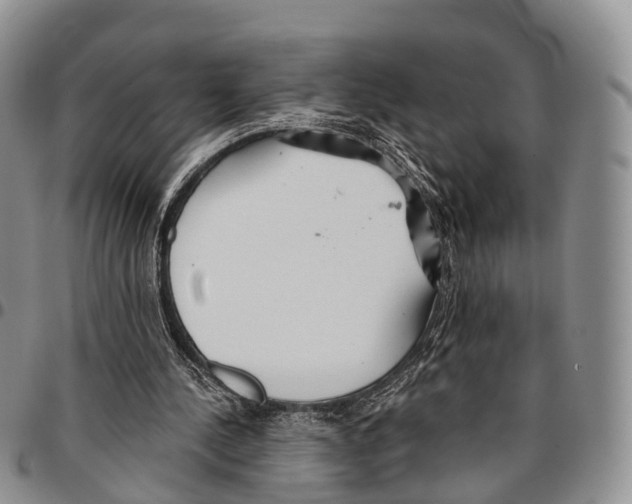 X0000096710244200803041347