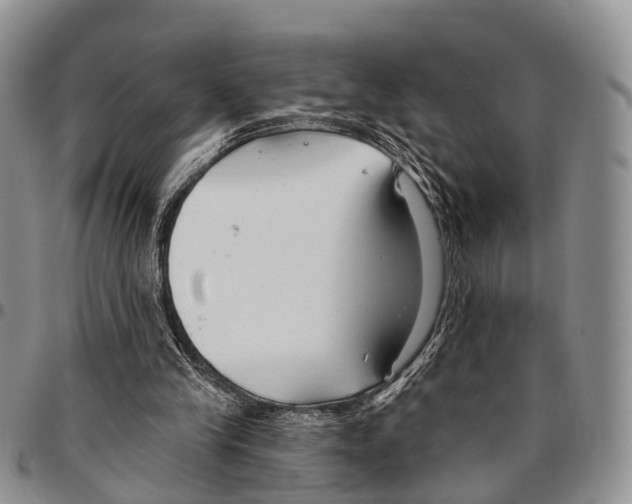 X0000096710245200803041347