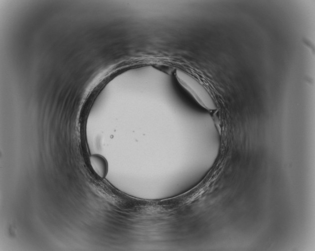 X0000096710246200803041347