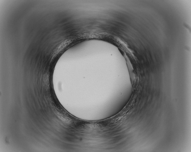 X0000096710250200803041347