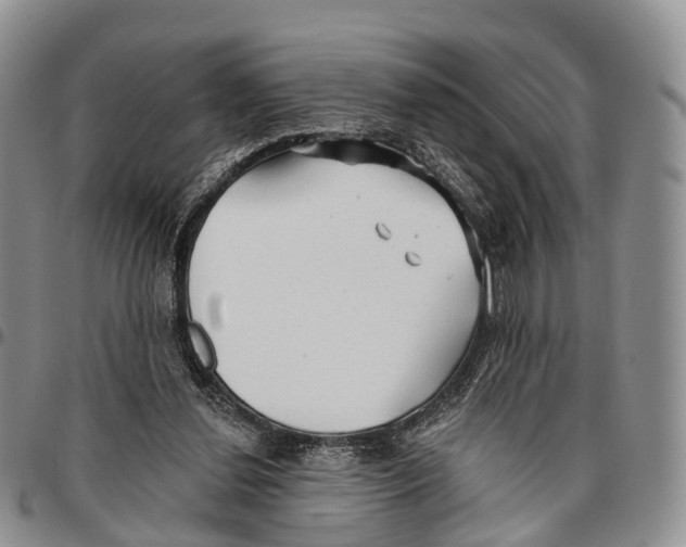 X0000096710252200803041347