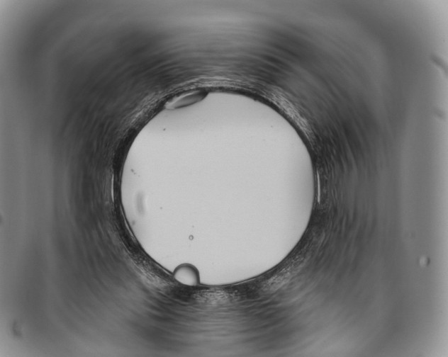 X0000096710253200803041347