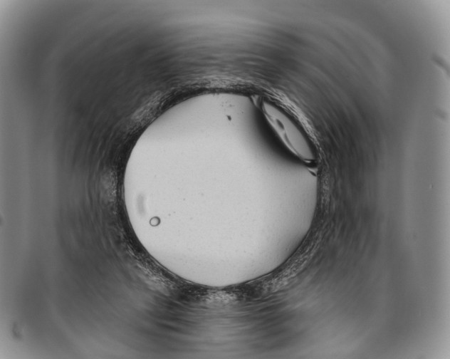 X0000096710257200803041347