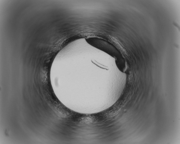 X0000096710259200803041347