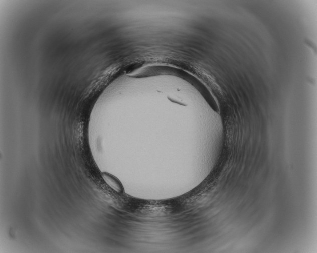 X0000096710260200803041347