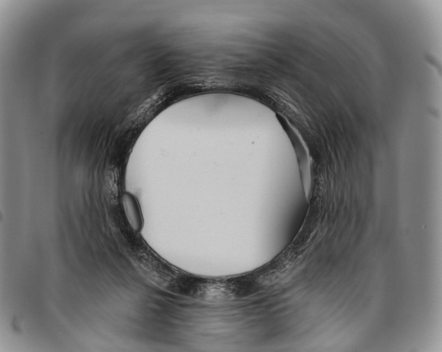 X0000096710264200803041347