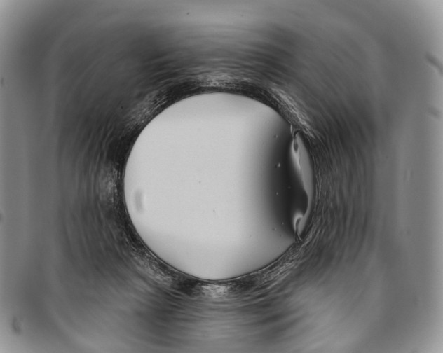 X0000096710265200803041347