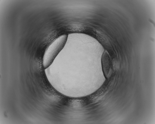 X0000096710268200803041347