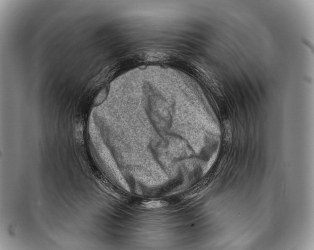 X0000096710269200803041347