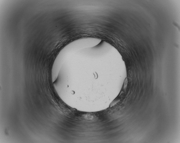 X0000096710272200803041347