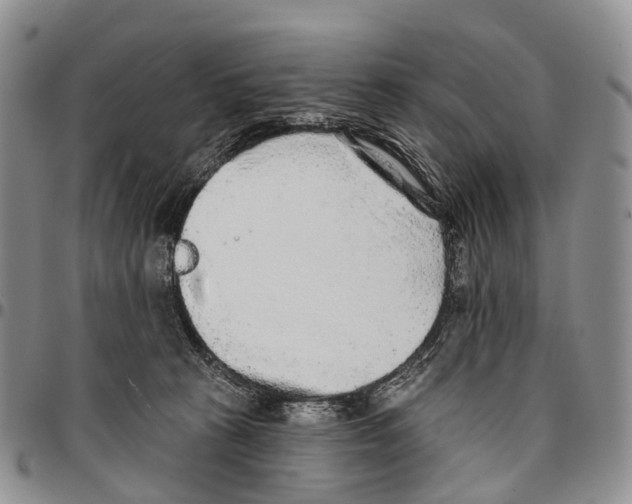 X0000096710273200803041347