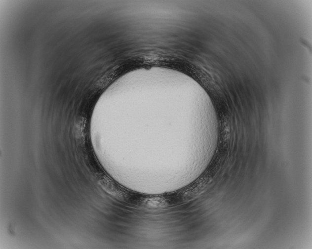 X0000096710275200803041347