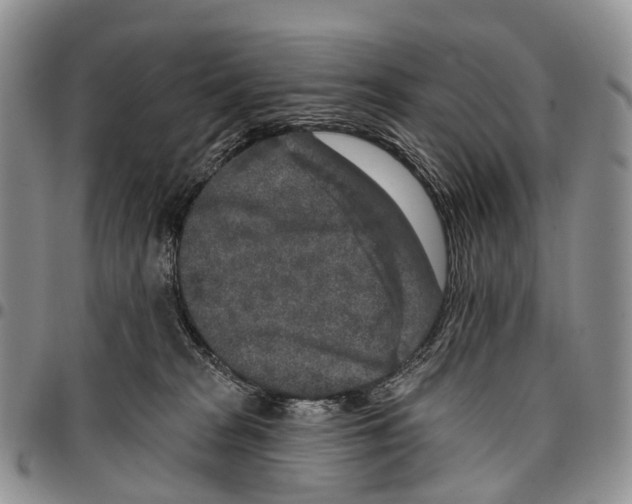 X0000096710277200803041347