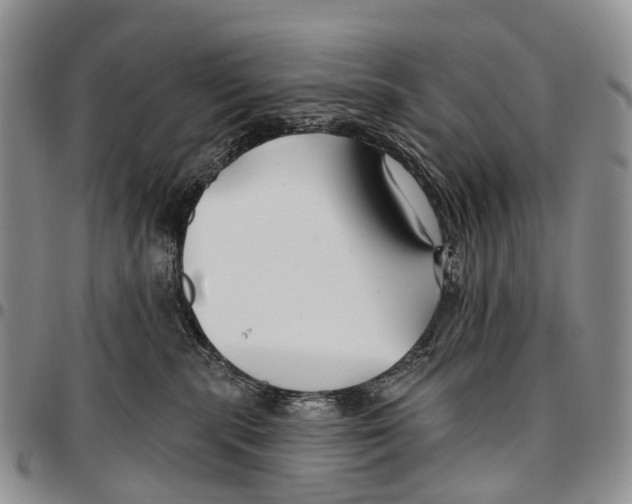 X0000096710283200803041347