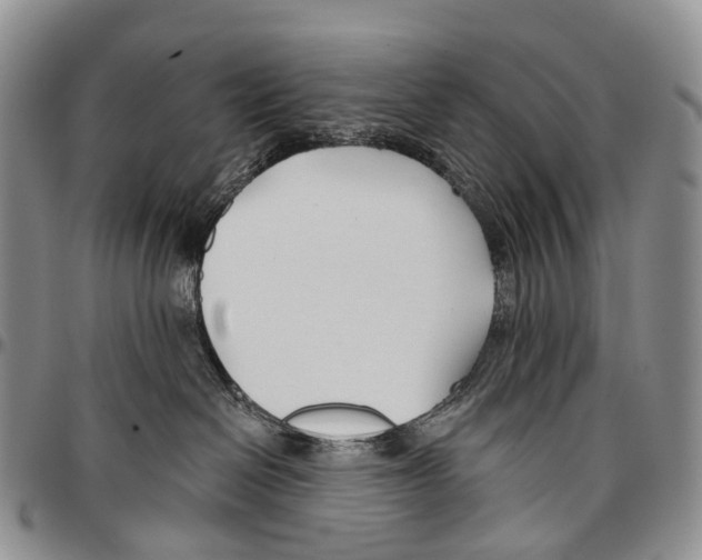 X0000096710286200803041347