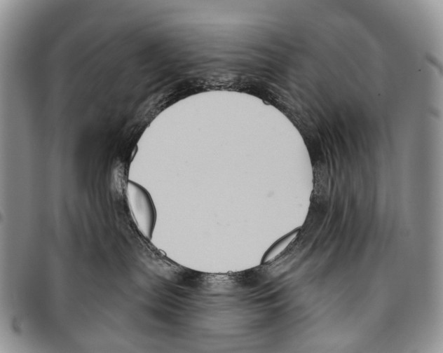 X0000096710287200803041347