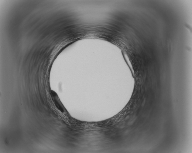 X0000096710289200803041347