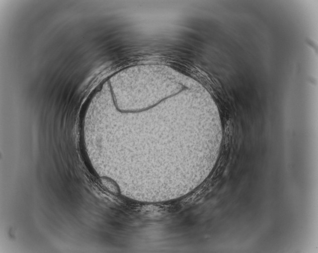 X0000096710290200803041347