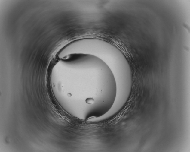 X0000096710292200803041347