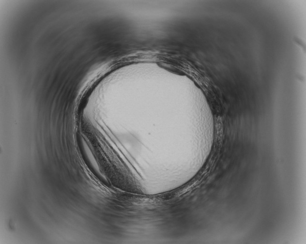 X0000096710293200803041347