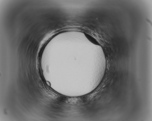 X0000096710294200803041347