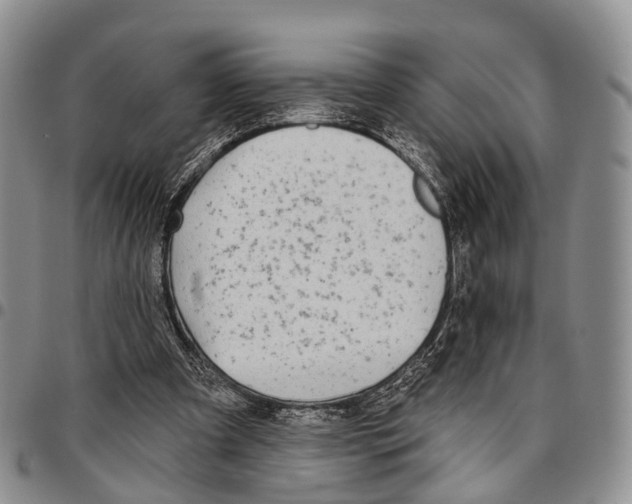 X0000096710297200803041347