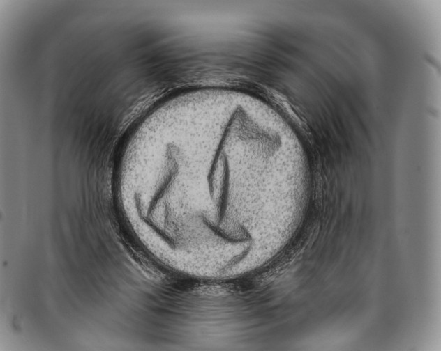 X0000096710299200803041347