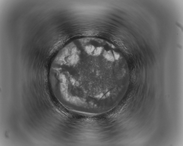 X0000096710303200803041346