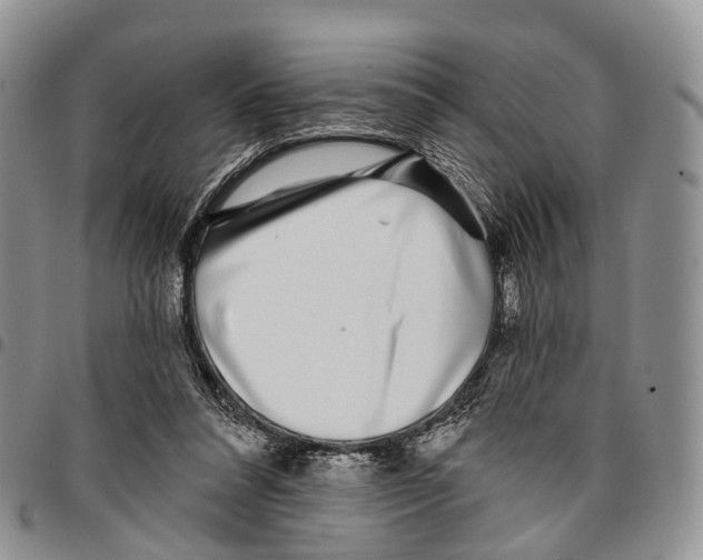 X0000096710304200803041346